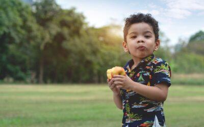 Fighting to Keep Groceries on the Table